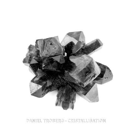 Daniel Troberg-Cristallisation