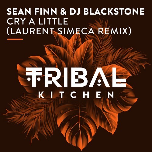 Sean Finn, Dj Blackstone, Laurent Simeca-Cry a Little (Laurent Simeca Remix)