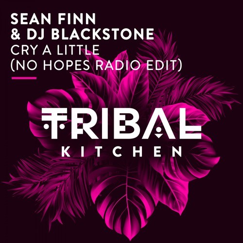 Sean Finn, Dj Blackstone, No Hopes-Cry a Little (No Hopes Radio Edit)