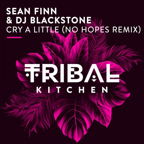 Sean Finn, Dj Blackstone, No Hopes-Cry a Little (No Hopes Remix)