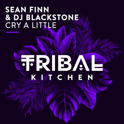 Sean Finn, Dj Blackstone-Cry a Little (Radio Edit)