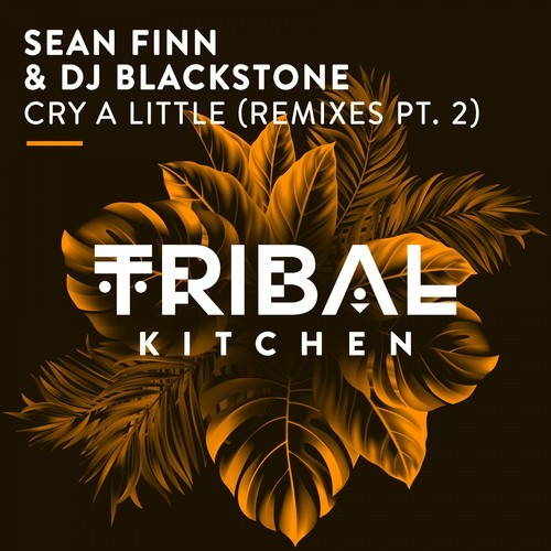 Sean Finn, Dj Blackstone, DJ Kone, Marc Palacios-Cry a Little (Remixes Pt. 2)