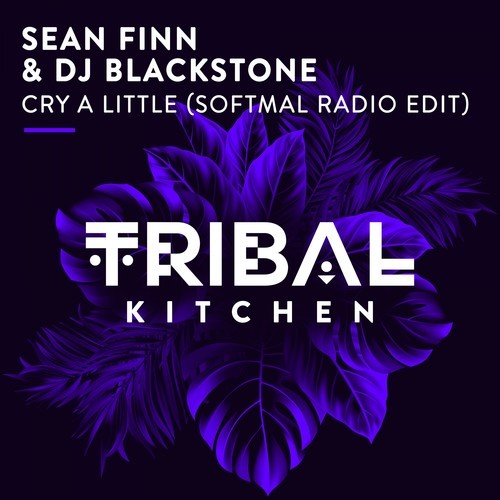 Sean Finn, Dj Blackstone, Softmal-Cry a Little (Softmal Radio Edit)