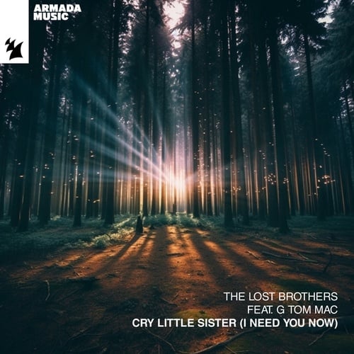 The Lost Brothers, G Tom Mac-Cry Little Sister (I Need You Now)
