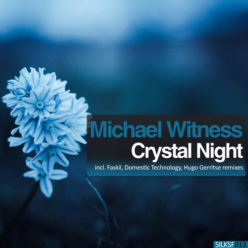 Michael Witness, Hugo Gerritse, Domestic Technology, Faskil-Crystal Night