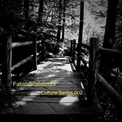 Fabio Scalabroni-CULTURE series 002