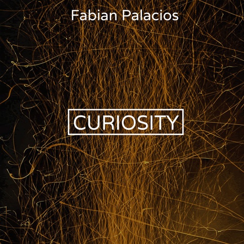 Fabian Palacios-Curiosity