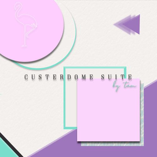 T_A_M-Custerdome Suite
