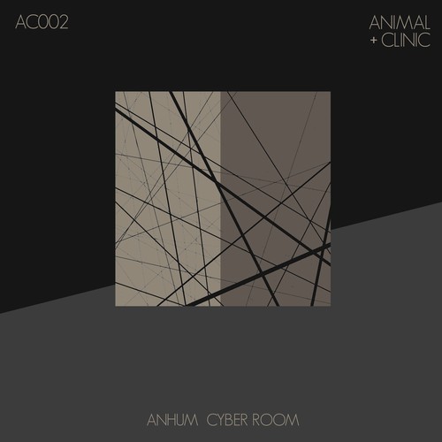Anhum-Cyber Room