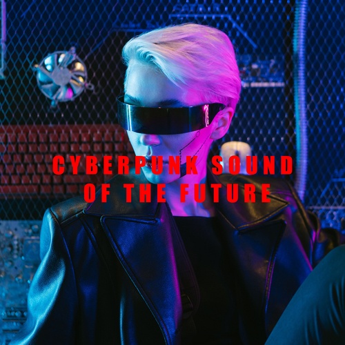 Various Artists-Cyberpunk Sound of the Future