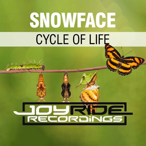 Snowface-Cycle of Life