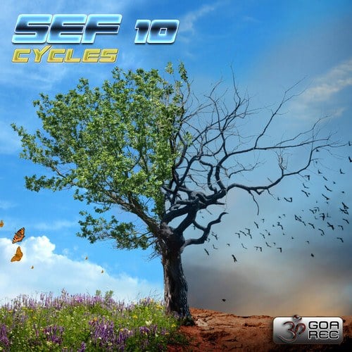 Sef10-Cycles