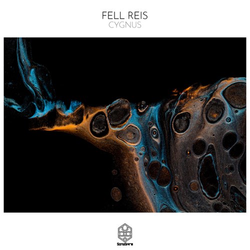 Fell Reis-Cygnus