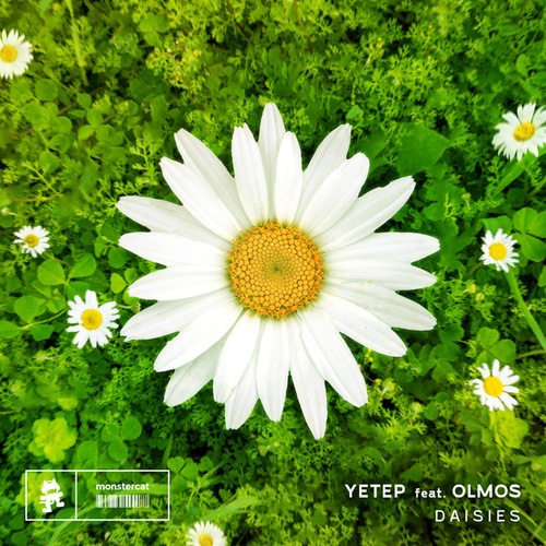 Yetep, Olmos-Daisies