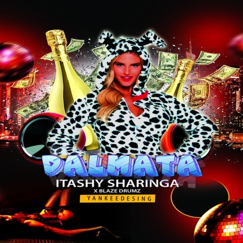 Itashy Sharinga-Dalmata