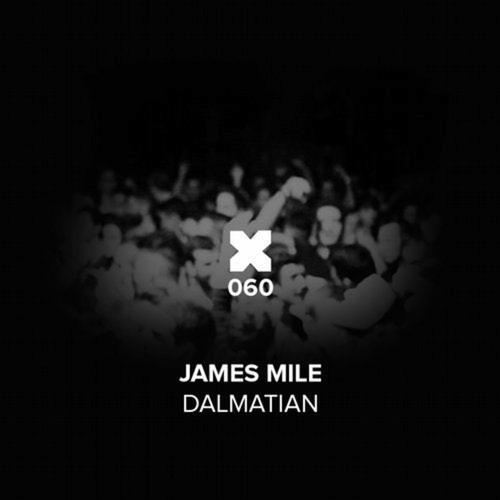 James Mile-Dalmation
