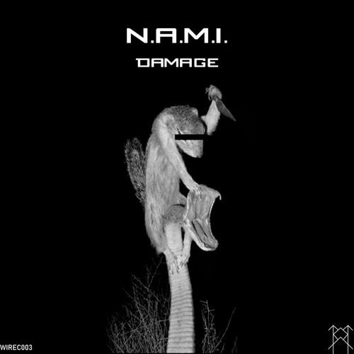 N.A.M.I.-Damage