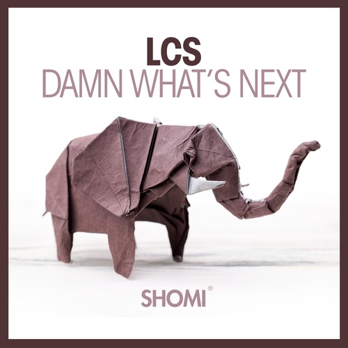 LCS-Damn What's Next