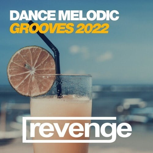 Various Artists-Dance Melodic Grooves 2022