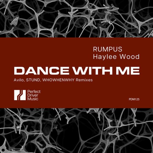 RUMPUS, Haylee Wood, WHOWHENWHY, Avilo, Stund-Dance With Me
