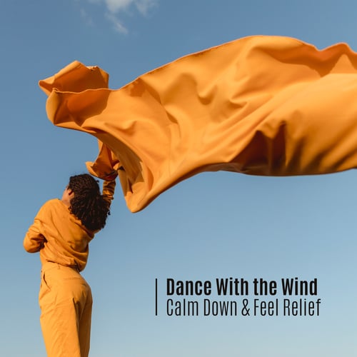 Stress Relief Calm Oasis, Calm Music Masters-Dance With the Wind, Calm Down & Feel Relief (Relaxation, Meditation and Rest)