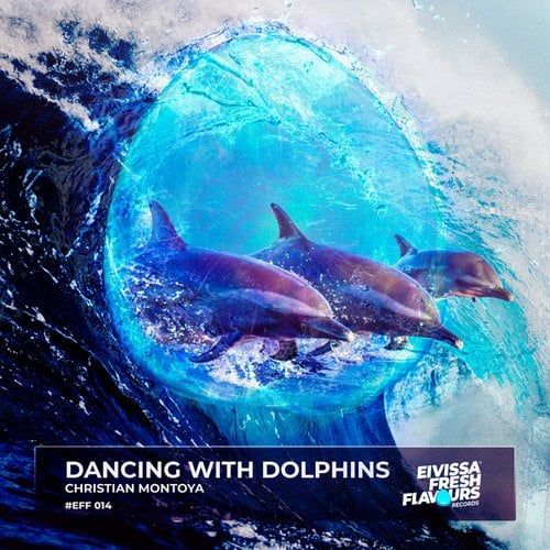 Dancing with Dolphins