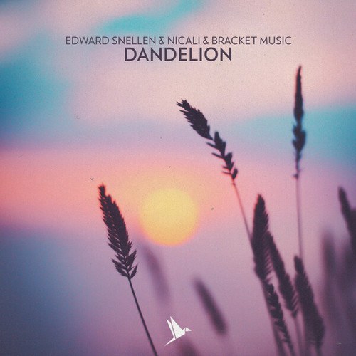 Edward Snellen, NICALI, BRACKET MUSIC-Dandelion