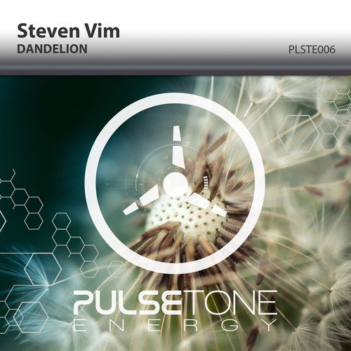 Steven Vim-Dandelion