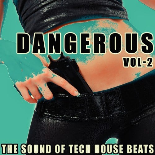 Various Artists-Dangerous, Vol. 2 (The Sound of Tech House Beats)