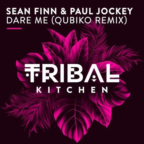 Sean Finn, Paul Jockey, Qubiko-Dare Me (Qubiko Remix)