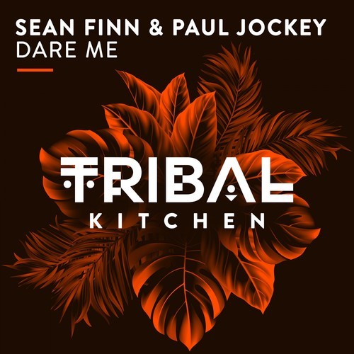 Sean Finn, Paul Jockey-Dare Me