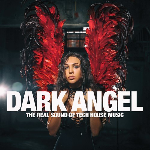 Various Artists-Dark Angel