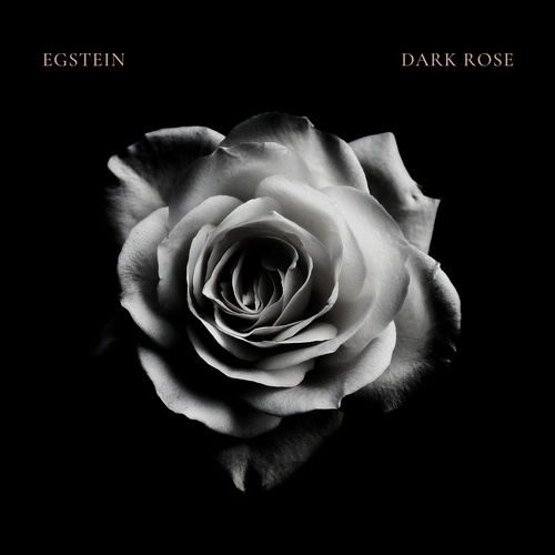Egstein-Dark Rose