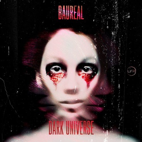Baureal-Dark Universe