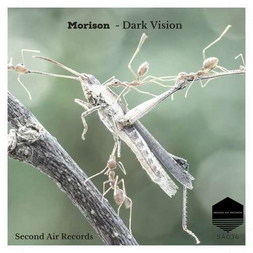 Morison-Dark Vision
