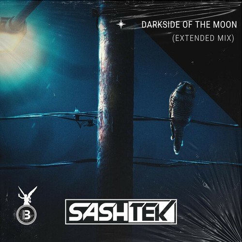 Sashtek-Darkside of the Moon (Extended Mix)