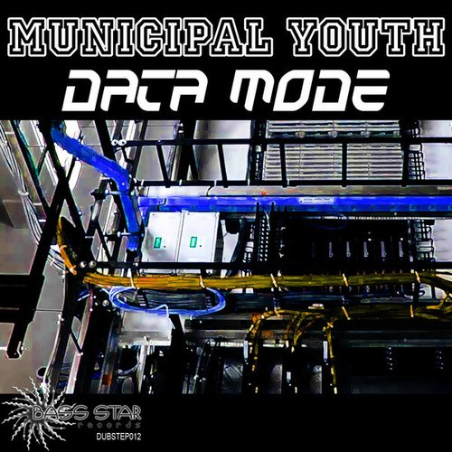 Municipal Youth-Data Mode