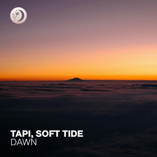Soft Tide, TAPI-Dawn