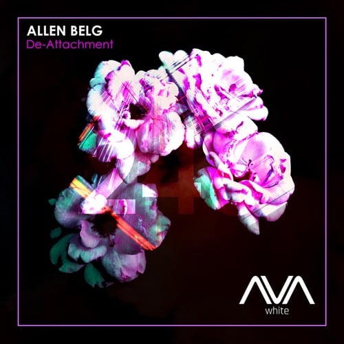 Allen Belg-De-Attachment