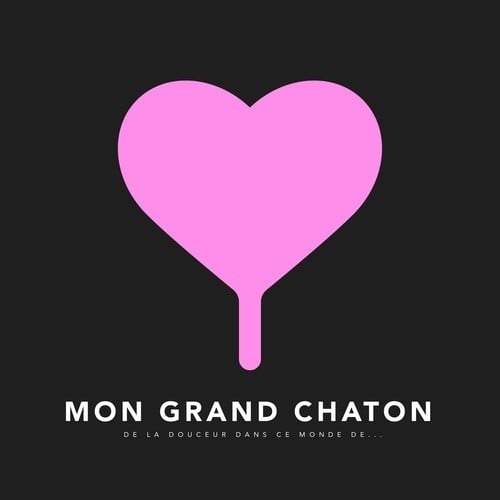Mon Grand Chaton-De la douceur dans ce monde de...