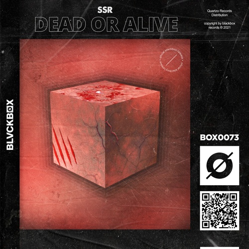 SSR-Dead Or Alive