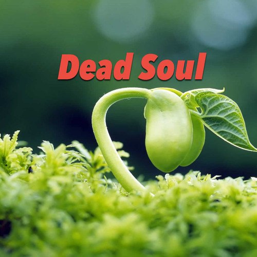 Various Artists-Dead Soul