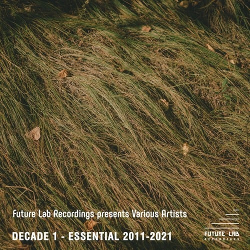 Various Artists-Decade 1 - Essential 2011-2021