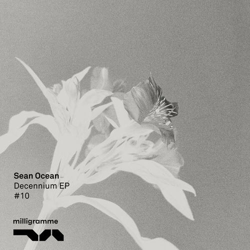 Sean Ocean, Rifflefeet, Noah Pred-Decennium
