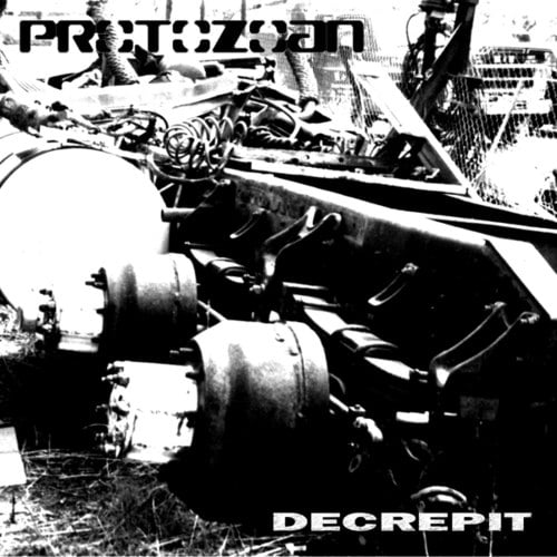 Protozoan-Decrepit