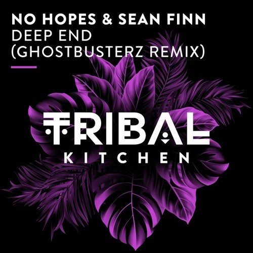 No Hopes, Sean Finn, Ghostbusterz-Deep End (Ghostbusterz Extended Remix)