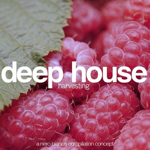 Various Artists-Deep House Harvesting
