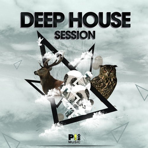 Various Artists-Deep House Session