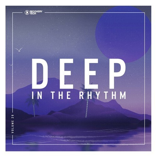 Various Artists-Deep in the Rhythm, Vol. 29