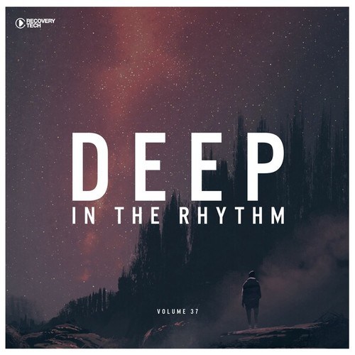 Various Artists-Deep in the Rhythm, Vol. 37